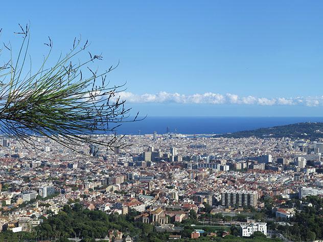 Vistas de Barcelona desde Collserola, Catalunya, España © Cristina Perez / Shutterstock