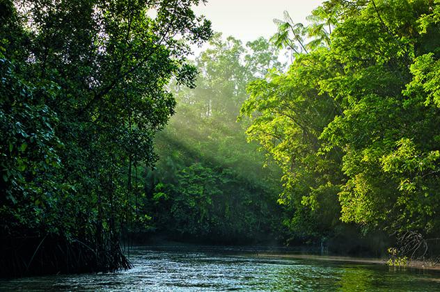 Amazonia brasileña, región Top 10 Best in Travel 2020