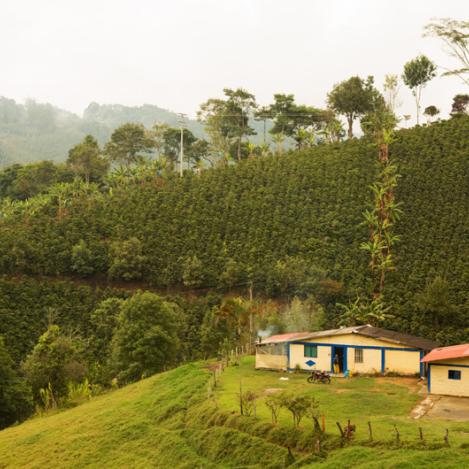 Quindio, Zona Cafetera, Colombia