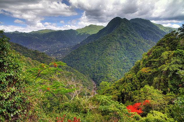 Bosque Nacional El Yunque, Puerto Rico © Dennis van de Water / Shutterstock