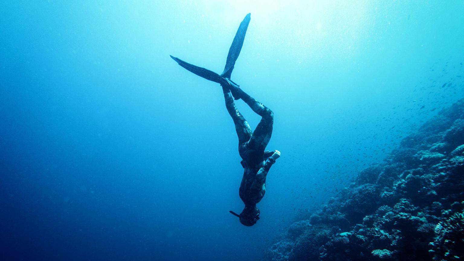 Bucear en el Mar Rojo, Egipto