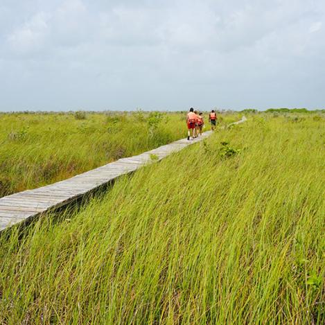 Reserva de la Biosfera Sian Ka’an, Riviera Maya, México