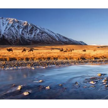 Parque Nacional Altai Tavanbogd, Mongolia