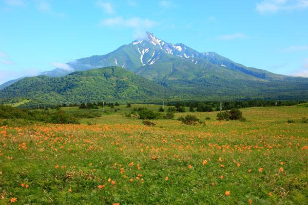 Parque Nacional Rishiri-Rebun-Sarobetsu, Hokkaido, Japón © Seigo Yamamura Aflo / Getty Images