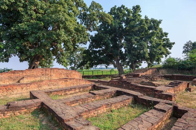 Los pastos verdes se extienden durante kilómetros alrededor de las ruinas de Tilaurakot, Nepal © Casper1774 Studio / Shutterstock