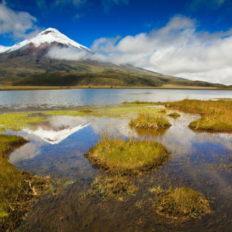 Parque Nacional Cotopaxi, Ecuador