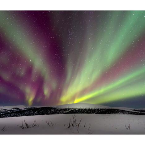 Aurora boreal cerca de Fairbanks, Alaska, EE UU