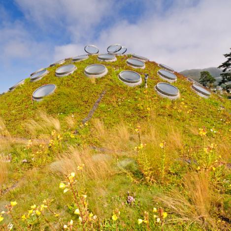 California Academy of Sciences, San Francisco, Estados Unidos