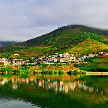 Viñedos del valle del Douro, Portugal