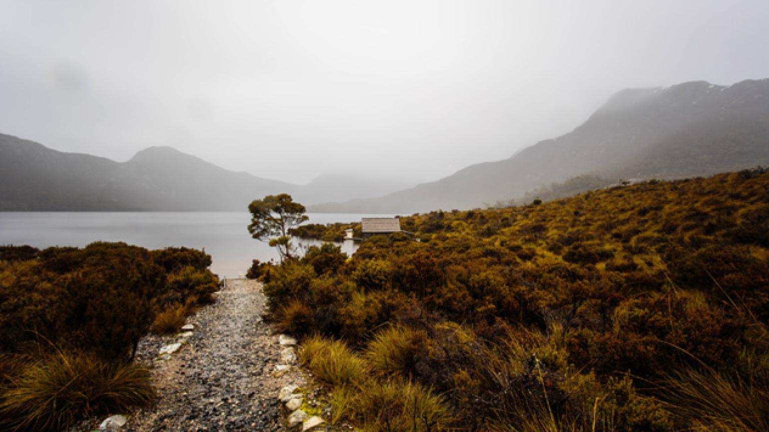 Montaña Cradle, Tasmania, Australia