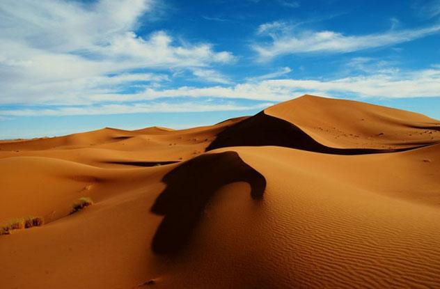 Camelladas, un libro para conocer y sentir el desierto