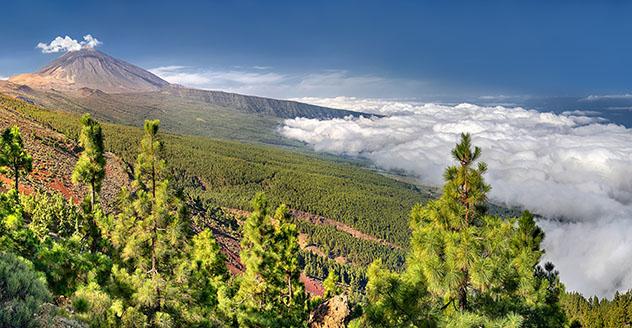 Valle de la Orotava, Tenerife, Canarias, España