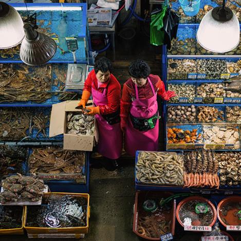 Mercado de pescado de Noryangjin, Seúl, Corea del Sur