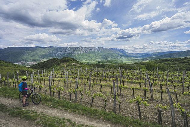 Eslovenia vinos: bicicleta por los viñedos