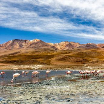 Lago en el desierto, sureste de Bolivia