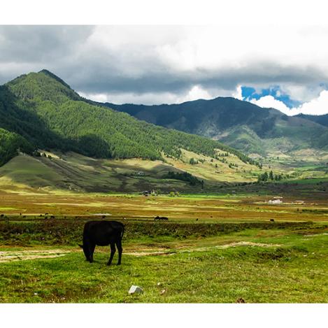 Valle de Phobjikha