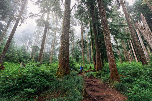 Senderismo por el monte Hood. © Romiana Lee/Shutterstock