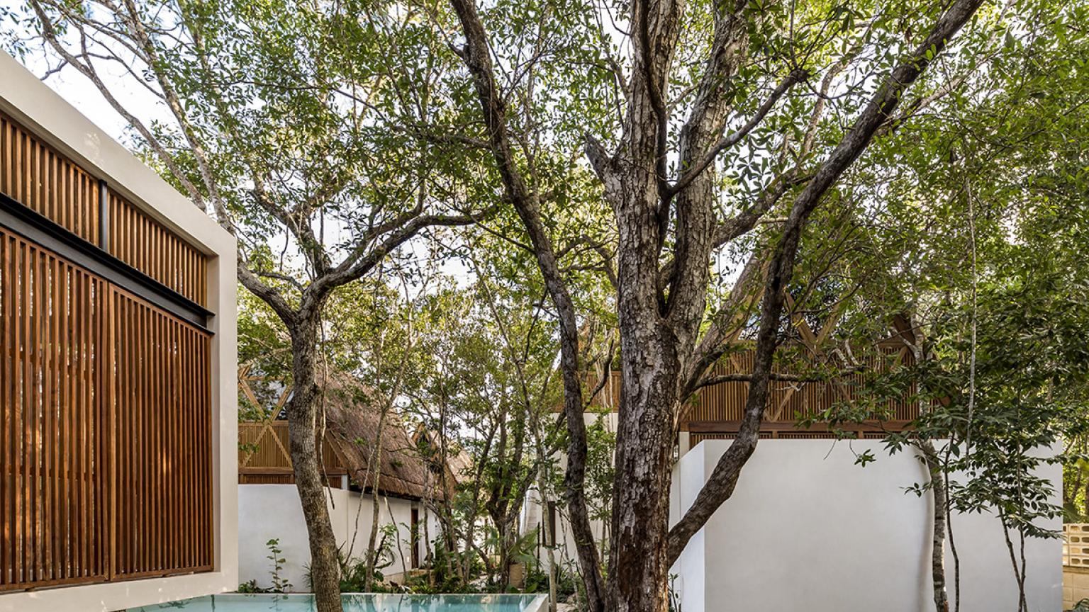 Jungle Teva, alojamiento ecológico de Tulum, México. Viaje sostenible Lonely Planet
