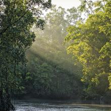 Río Amazonas, Brasil
