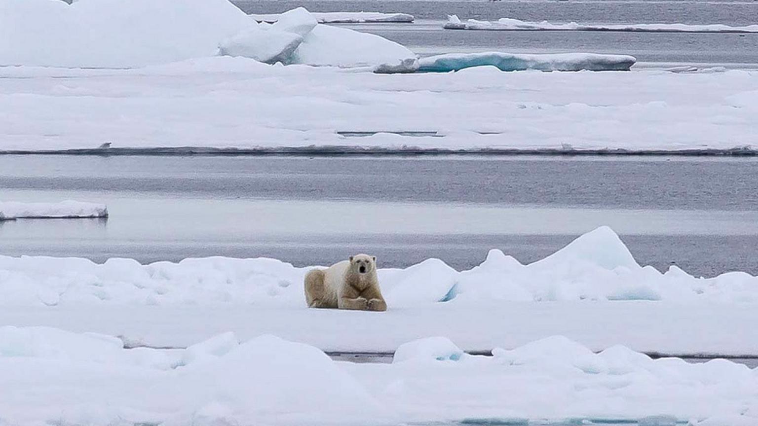 Svalbard, Noruega