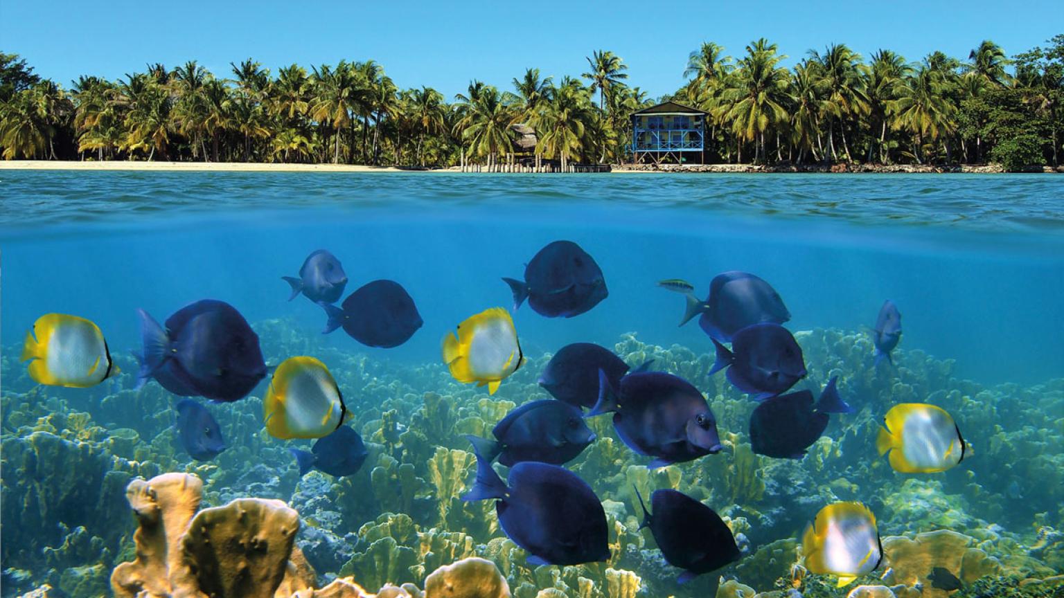 Bocas del Toro, Panamá