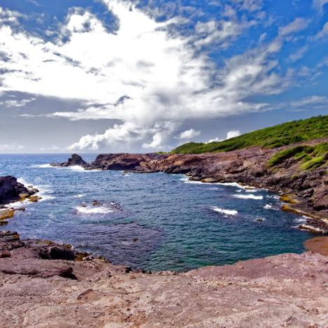 Presqu’île de Caravelle, Martinica