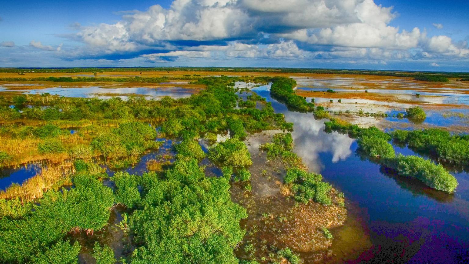 Everglades National Park, Florida, costa este de EE UU