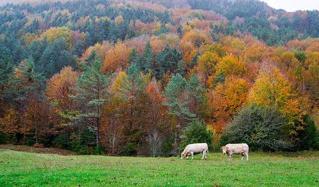 Valle del Roncal, Navarra, España