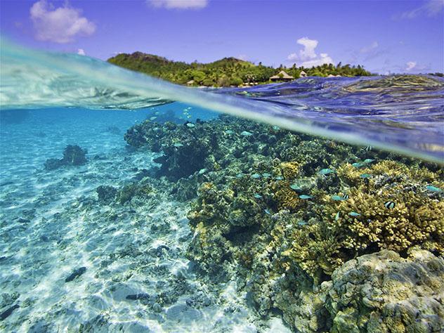 Arrecife de coral de Rarotonga, Islas Cook, Top 05 de Best in Asia Pacific 2019, los 10 mejores destinos de Asia-Pacífico