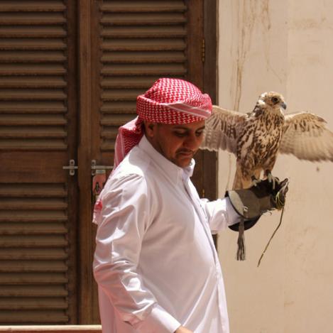 Zoco de los halcones, Qatar