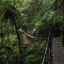 Mujer caminando en un puente colgante del Monteverde Cloud Forest