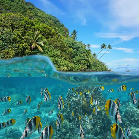 Huahine, Polinesia Francesa