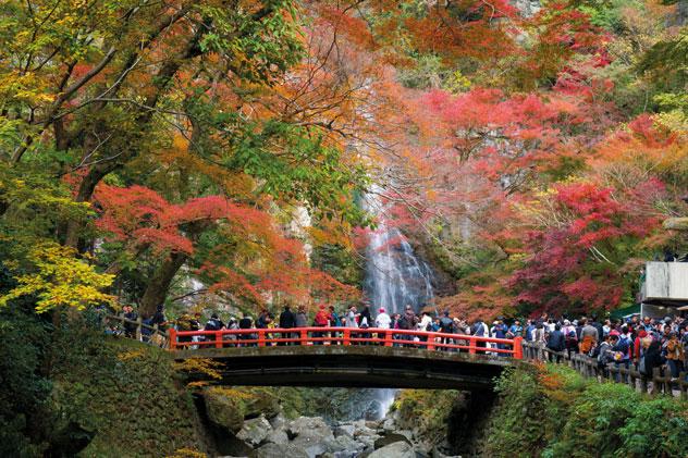 Vivos colores otoñales en el parque Meiji no Mori Minō, a las afueras de Osaka. NU sniper/Shutterstock ©
