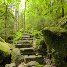 Selva Negra de Alemania, ruta por Gertelbach