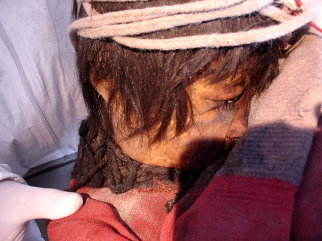 "El niño", una de las momias de los niños del Llullaico, Museo de Arqueología de Alta Montaña, Salta, Argentina © Joseph Castro / CC