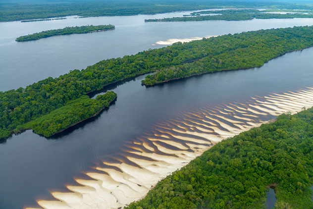 Bosques inundados y playas del Parque Nacional de Anavilhanas, Amazonia brasileña