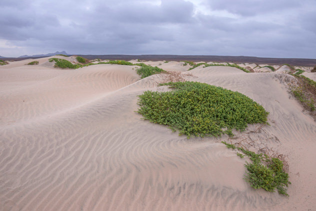 Playa de Ervatão, isla Boa Vista, Cabo Verde © Salvador Aznar / Shutterstock
