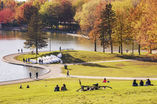 Parc du Mont-Royal. © Marc Bruxelle/Shutterstock