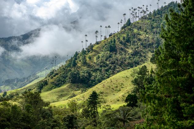 Parque Nacional Natural de Colombia © Nadege Mazars/Lonely Planet