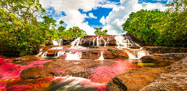 Caño Cristales, el río más llamativo del mundo, Colombia