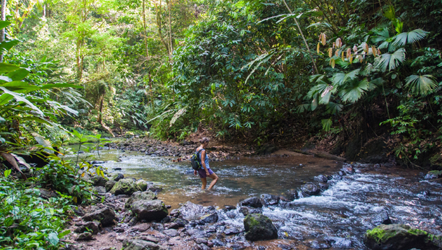 Parque Nacional Corcovado, Costa Rica © Sam Camp / Getty Images