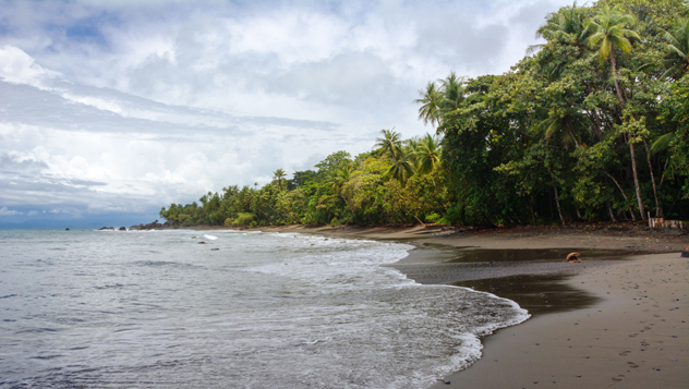 Playa Pavones, Costa Rica © Ramon Martinez / Shutterstock
