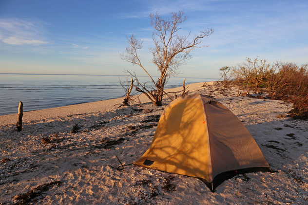 Acampada en el Everglades National Park, Florida, EE UU © Chris Hill / Shutterstock