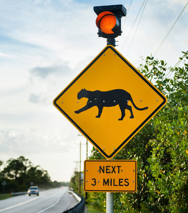 Everglades National Park, Florida, EE UU © Justin Foulkes / Lonely Planet