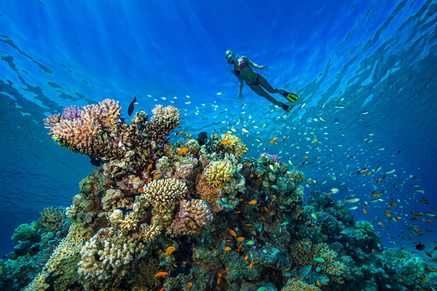 Diving in the Middle East: the Red Sea, Egypt
