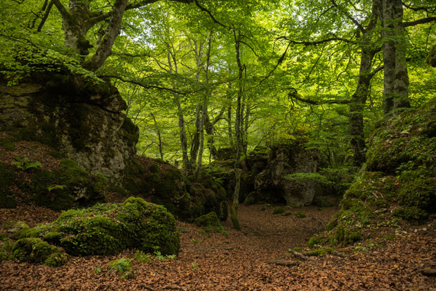 Parque Natural de Urbasa-Andía, Estella, Navarra © Irantzu Arbaizagoitia / Shutterstock