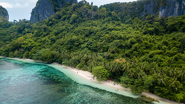 La jungla cubre la mayor parte de Palawan, Filipinas, Top 08 de Best in Asia Pacific 2019, los 10 mejores destinos de Asia-Pacífico 
