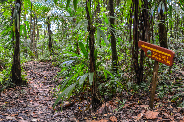 Waitukubuli National Trail en Dominica. © Tom Madge-Wyld / iStock Editorial / Getty Images Plus