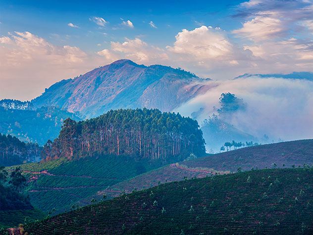 Abundan las vistas épicas de las montañas envueltas en bruma de los Ghats occidentales, India © Dmitry Rukhlenko / Shutterstock
