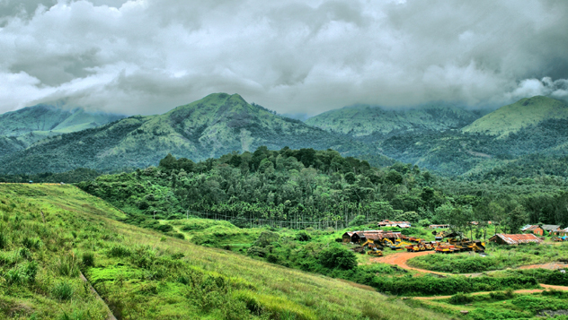Norte de Kerala, Wayanad, India © sureshkege / Getty Images